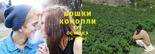 скорость Бородино