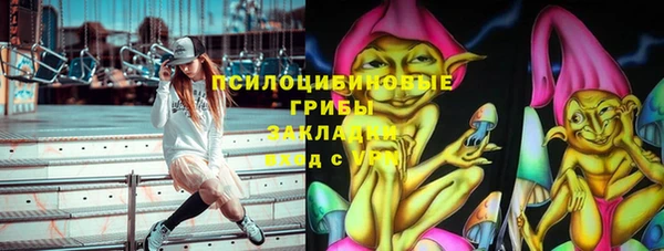 спайс Верея
